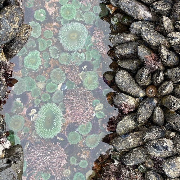 Hey! We’re the shop called Nickname! - Picture 7 of 9